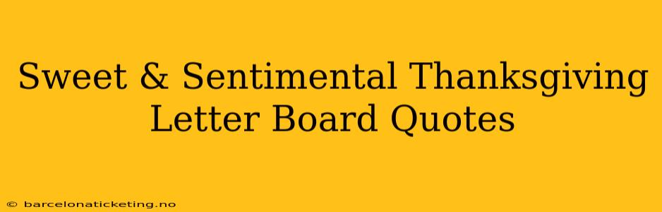 Sweet & Sentimental Thanksgiving Letter Board Quotes