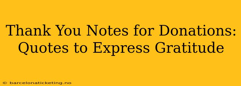 Thank You Notes for Donations:  Quotes to Express Gratitude