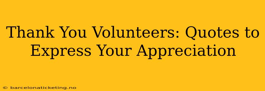 Thank You Volunteers: Quotes to Express Your Appreciation
