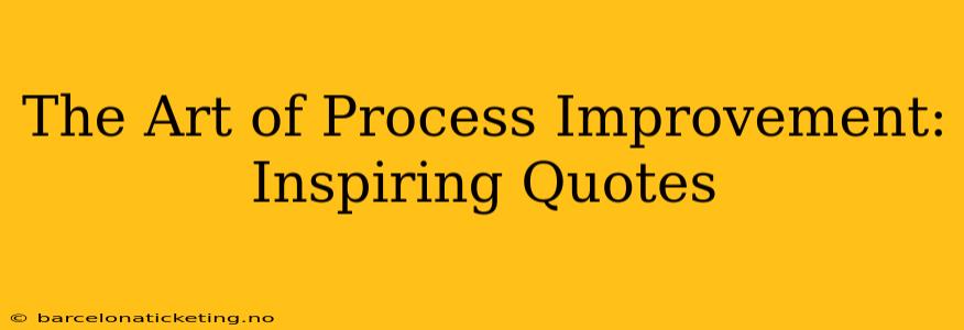 The Art of Process Improvement: Inspiring Quotes