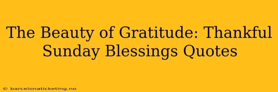 The Beauty of Gratitude: Thankful Sunday Blessings Quotes