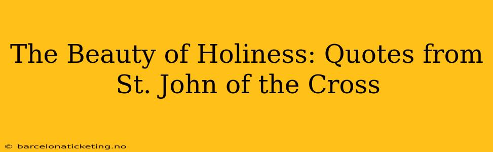 The Beauty of Holiness: Quotes from St. John of the Cross