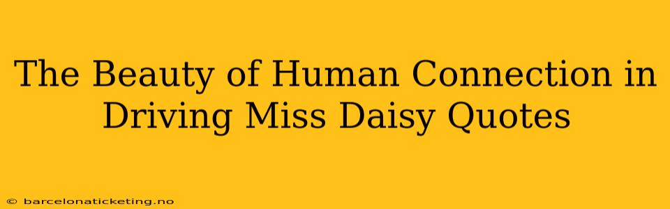 The Beauty of Human Connection in Driving Miss Daisy Quotes
