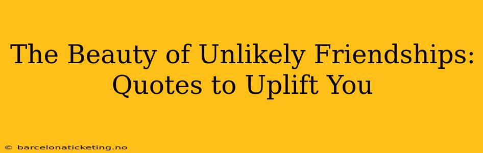 The Beauty of Unlikely Friendships: Quotes to Uplift You
