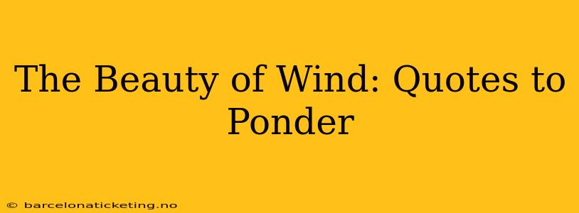 The Beauty of Wind: Quotes to Ponder