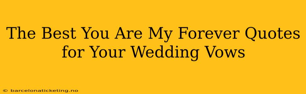 The Best You Are My Forever Quotes for Your Wedding Vows