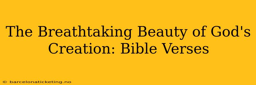The Breathtaking Beauty of God's Creation: Bible Verses