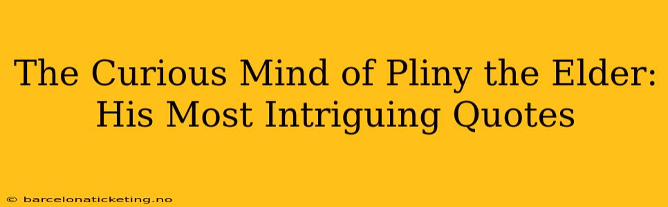 The Curious Mind of Pliny the Elder: His Most Intriguing Quotes