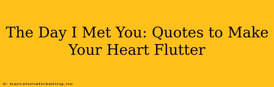 The Day I Met You: Quotes to Make Your Heart Flutter