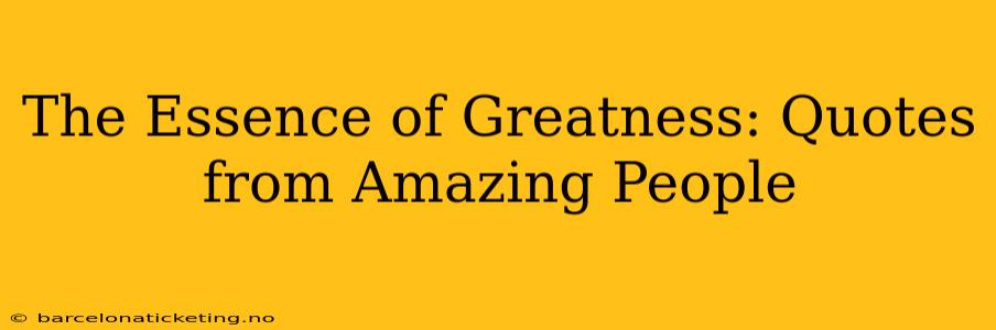 The Essence of Greatness: Quotes from Amazing People