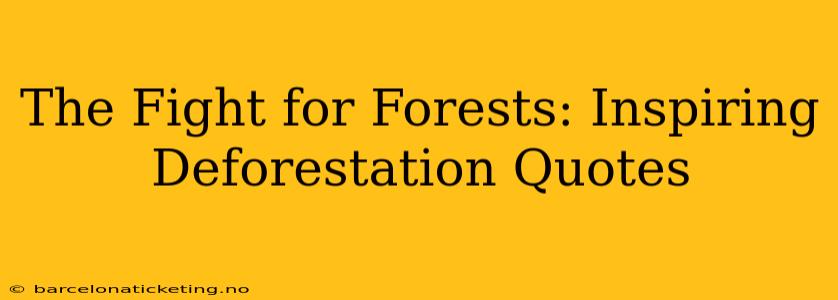 The Fight for Forests: Inspiring Deforestation Quotes