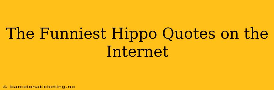 The Funniest Hippo Quotes on the Internet