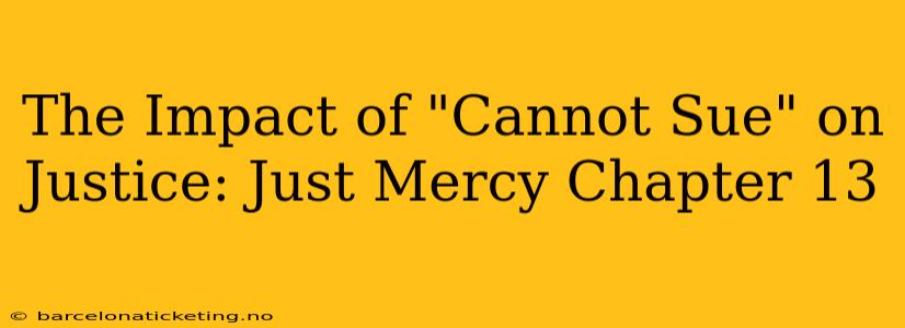 The Impact of "Cannot Sue" on Justice: Just Mercy Chapter 13