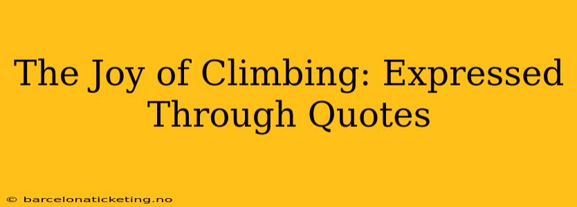 The Joy of Climbing: Expressed Through Quotes