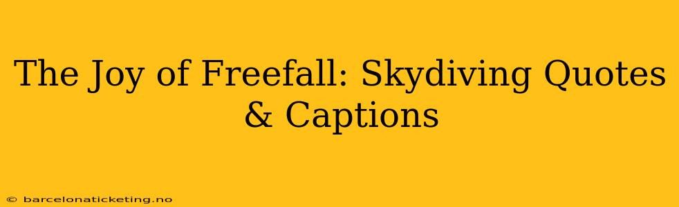The Joy of Freefall: Skydiving Quotes & Captions