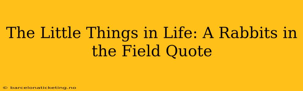 The Little Things in Life: A Rabbits in the Field Quote