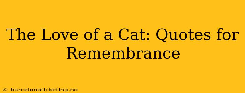 The Love of a Cat: Quotes for Remembrance