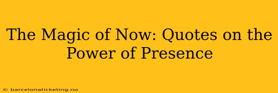 The Magic of Now: Quotes on the Power of Presence