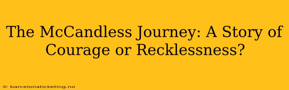 The McCandless Journey: A Story of Courage or Recklessness?