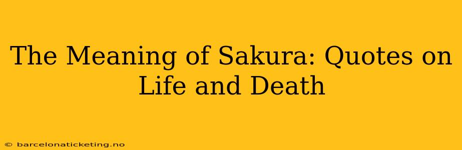 The Meaning of Sakura: Quotes on Life and Death