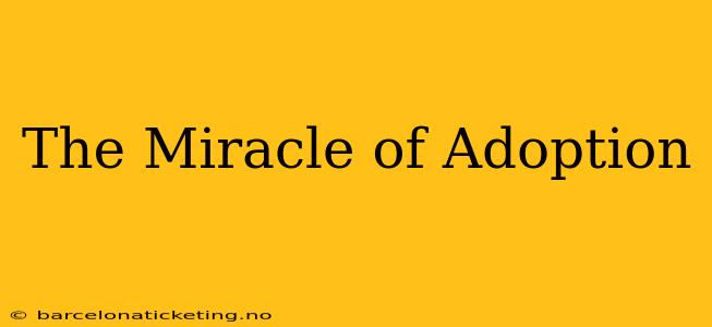 The Miracle of Adoption