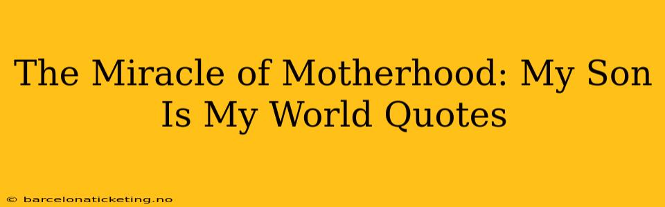 The Miracle of Motherhood: My Son Is My World Quotes