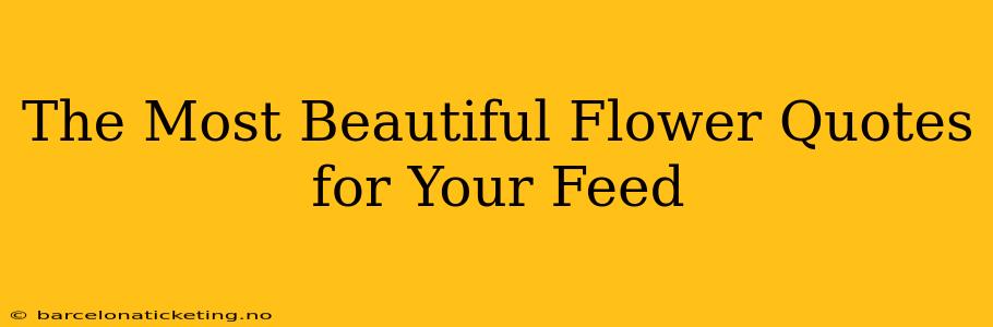 The Most Beautiful Flower Quotes for Your Feed
