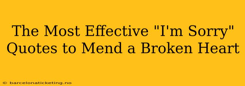 The Most Effective "I'm Sorry" Quotes to Mend a Broken Heart