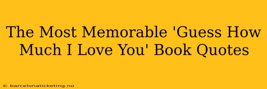 The Most Memorable 'Guess How Much I Love You' Book Quotes
