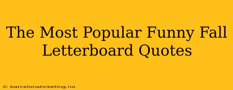 The Most Popular Funny Fall Letterboard Quotes