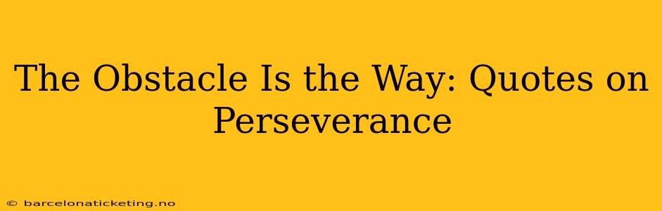 The Obstacle Is the Way: Quotes on Perseverance