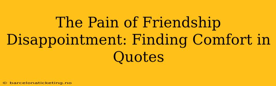 The Pain of Friendship Disappointment: Finding Comfort in Quotes