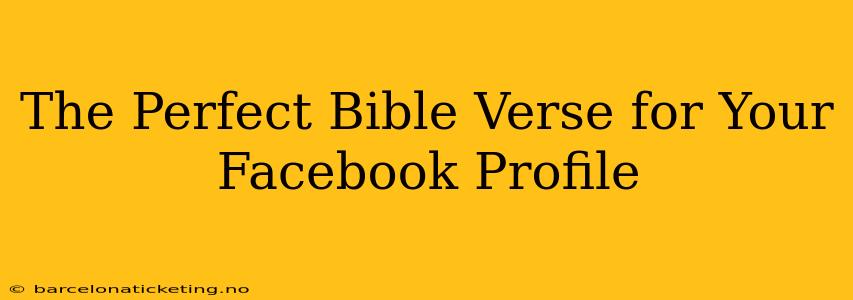 The Perfect Bible Verse for Your Facebook Profile
