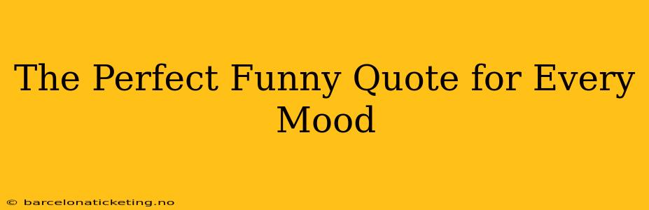 The Perfect Funny Quote for Every Mood
