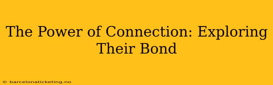 The Power of Connection: Exploring Their Bond