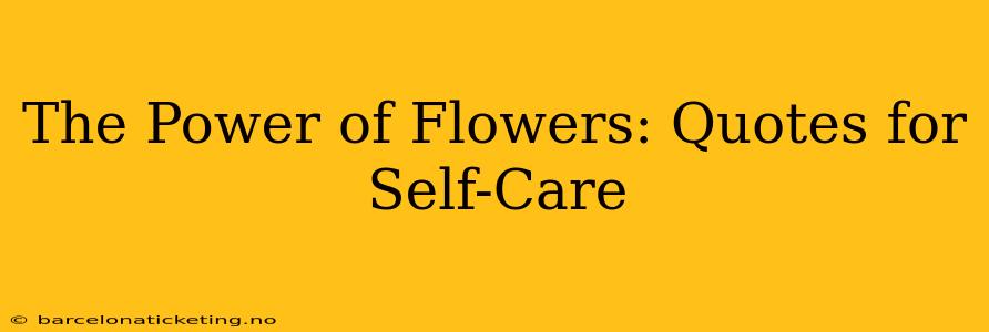 The Power of Flowers: Quotes for Self-Care