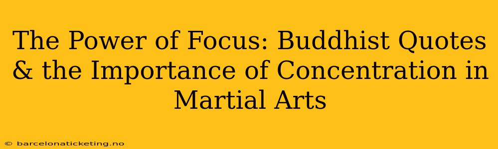 The Power of Focus: Buddhist Quotes & the Importance of Concentration in Martial Arts