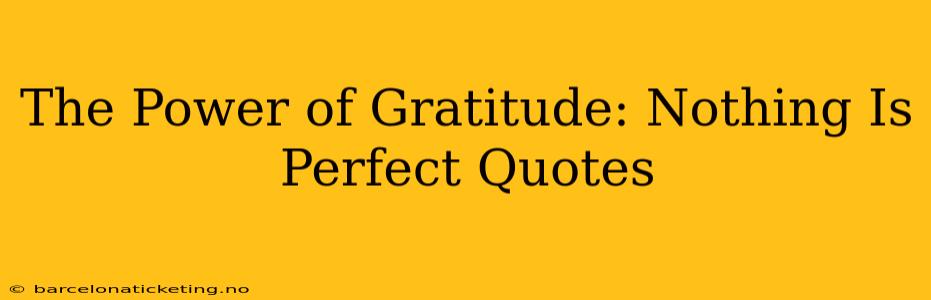 The Power of Gratitude: Nothing Is Perfect Quotes