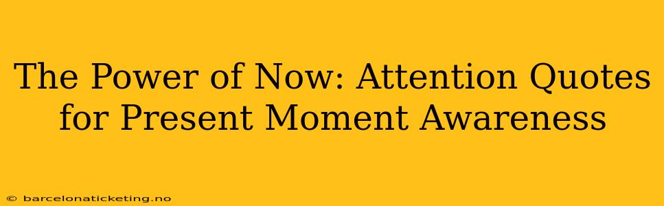 The Power of Now: Attention Quotes for Present Moment Awareness