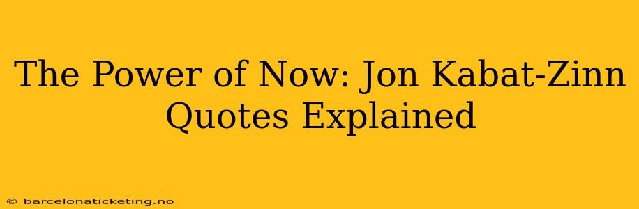 The Power of Now: Jon Kabat-Zinn Quotes Explained