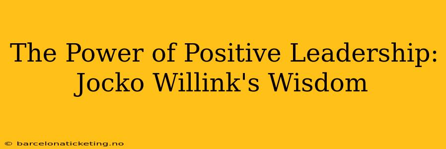 The Power of Positive Leadership: Jocko Willink's Wisdom