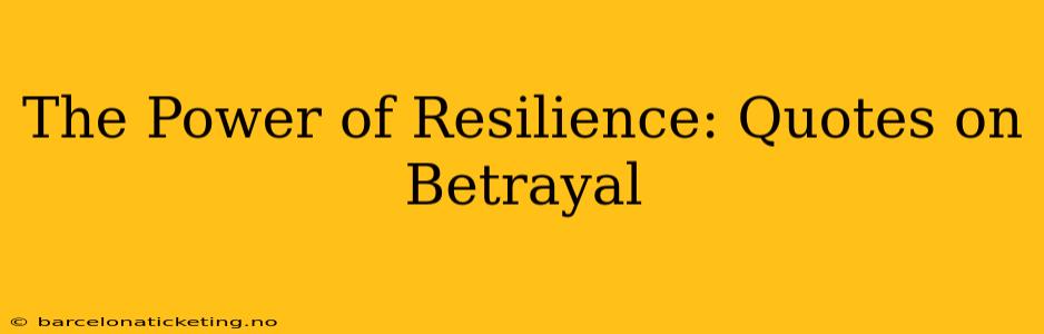The Power of Resilience: Quotes on Betrayal