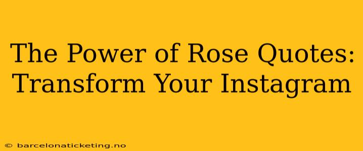 The Power of Rose Quotes: Transform Your Instagram
