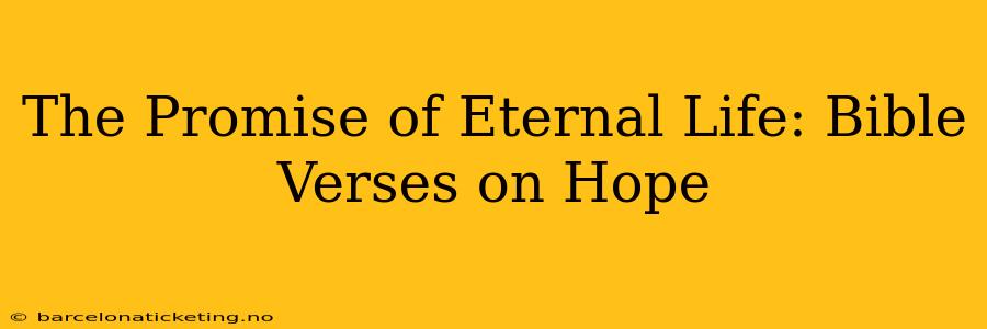 The Promise of Eternal Life: Bible Verses on Hope