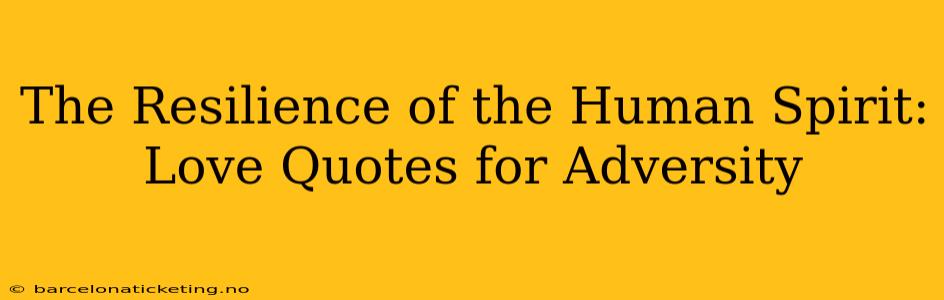 The Resilience of the Human Spirit: Love Quotes for Adversity