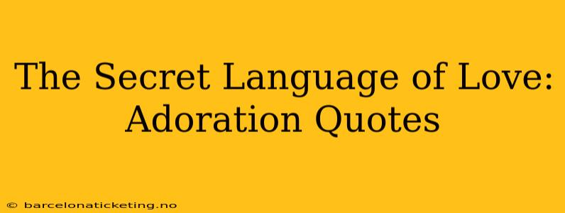 The Secret Language of Love: Adoration Quotes