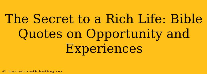 The Secret to a Rich Life: Bible Quotes on Opportunity and Experiences