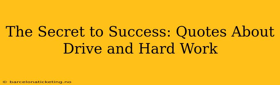 The Secret to Success: Quotes About Drive and Hard Work
