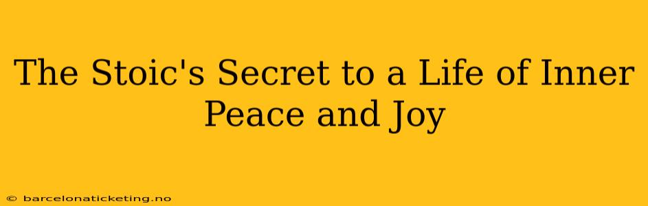 The Stoic's Secret to a Life of Inner Peace and Joy