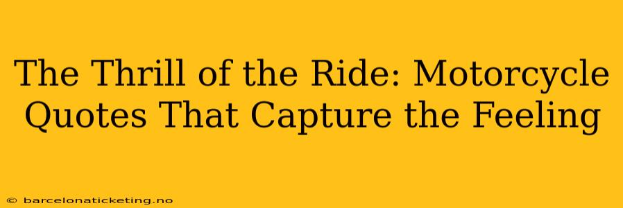 The Thrill of the Ride: Motorcycle Quotes That Capture the Feeling